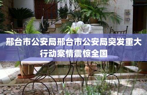邢台市公安局邢台市公安局突发重大行动案情震惊全国