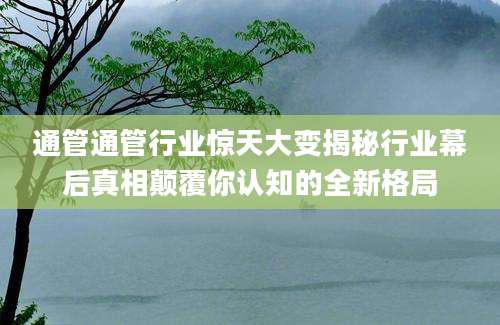 通管通管行业惊天大变揭秘行业幕后真相颠覆你认知的全新格局