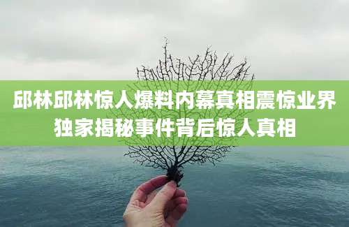 邱林邱林惊人爆料内幕真相震惊业界独家揭秘事件背后惊人真相