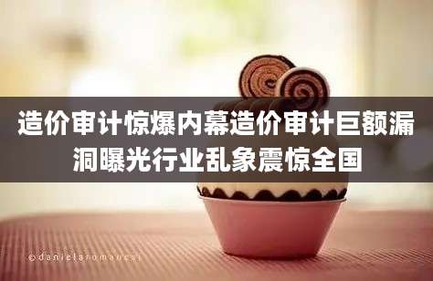 造价审计惊爆内幕造价审计巨额漏洞曝光行业乱象震惊全国