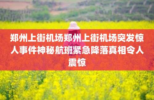 郑州上街机场郑州上街机场突发惊人事件神秘航班紧急降落真相令人震惊