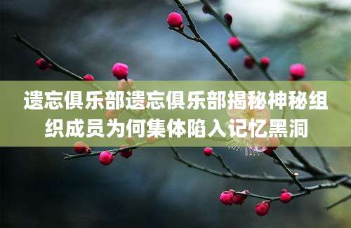 遗忘俱乐部遗忘俱乐部揭秘神秘组织成员为何集体陷入记忆黑洞