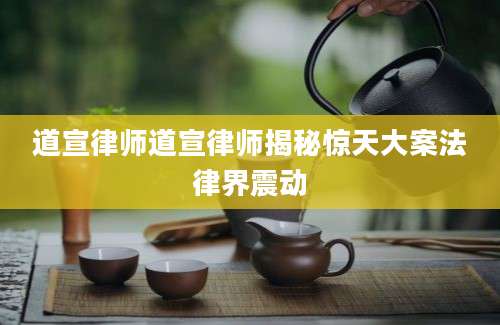 道宣律师道宣律师揭秘惊天大案法律界震动