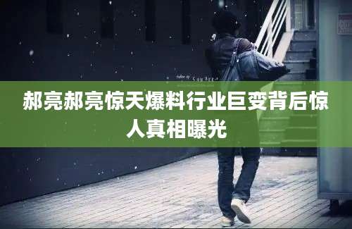 郝亮郝亮惊天爆料行业巨变背后惊人真相曝光
