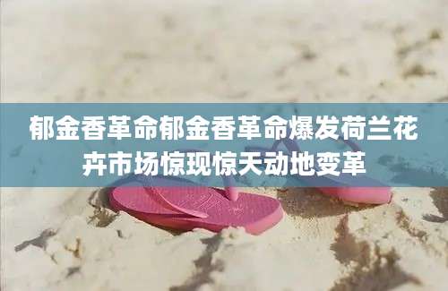 郁金香革命郁金香革命爆发荷兰花卉市场惊现惊天动地变革
