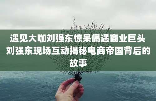 遇见大咖刘强东惊呆偶遇商业巨头刘强东现场互动揭秘电商帝国背后的故事
