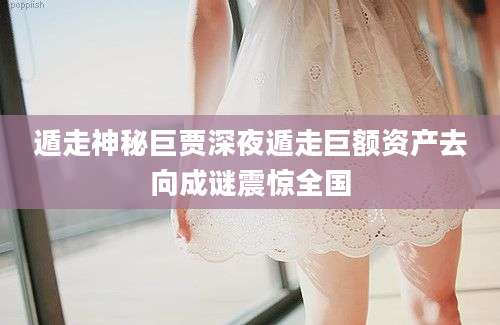 遁走神秘巨贾深夜遁走巨额资产去向成谜震惊全国