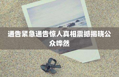 通告紧急通告惊人真相震撼揭晓公众哗然