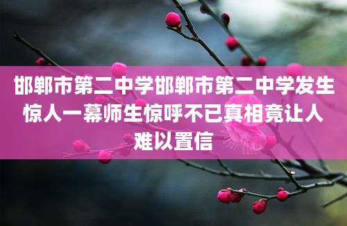 邯郸市第二中学邯郸市第二中学发生惊人一幕师生惊呼不已真相竟让人难以置信