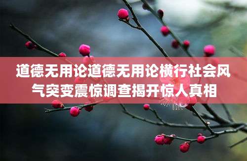 道德无用论道德无用论横行社会风气突变震惊调查揭开惊人真相