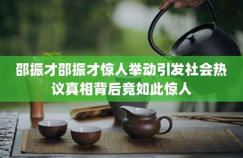 邵振才邵振才惊人举动引发社会热议真相背后竟如此惊人