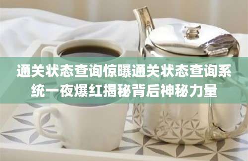 通关状态查询惊曝通关状态查询系统一夜爆红揭秘背后神秘力量