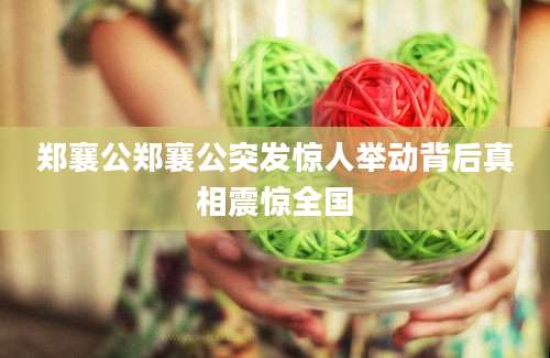 郑襄公郑襄公突发惊人举动背后真相震惊全国