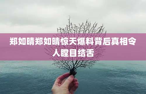 郑如晴郑如晴惊天爆料背后真相令人瞠目结舌