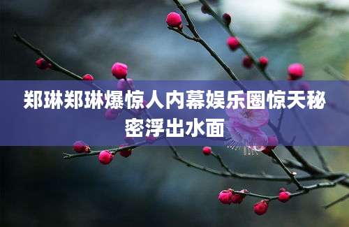 郑琳郑琳爆惊人内幕娱乐圈惊天秘密浮出水面