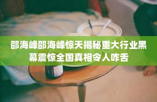 邵海峰邵海峰惊天揭秘重大行业黑幕震惊全国真相令人咋舌