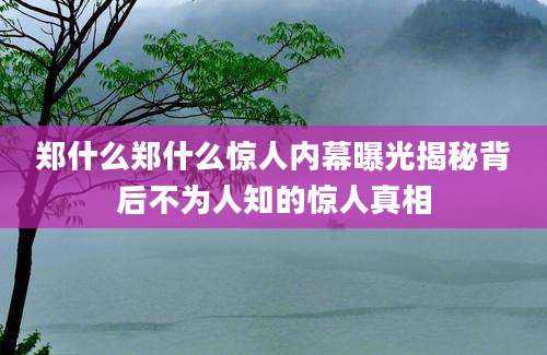 郑什么郑什么惊人内幕曝光揭秘背后不为人知的惊人真相