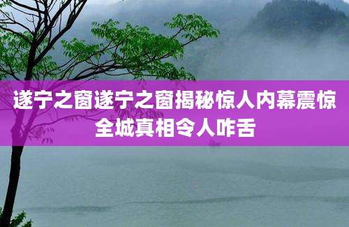 遂宁之窗遂宁之窗揭秘惊人内幕震惊全城真相令人咋舌