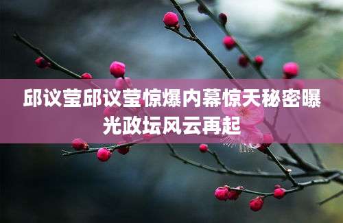 邱议莹邱议莹惊爆内幕惊天秘密曝光政坛风云再起