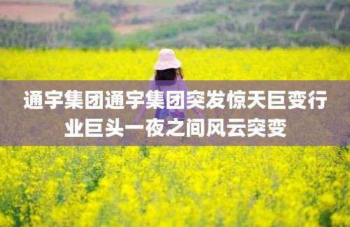 通宇集团通宇集团突发惊天巨变行业巨头一夜之间风云突变
