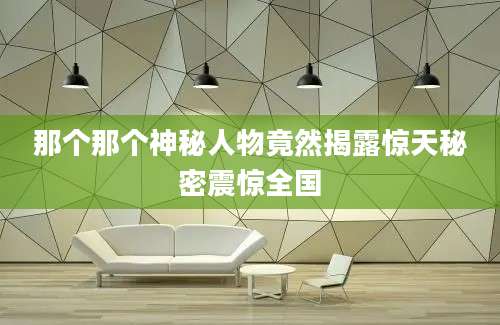 那个那个神秘人物竟然揭露惊天秘密震惊全国
