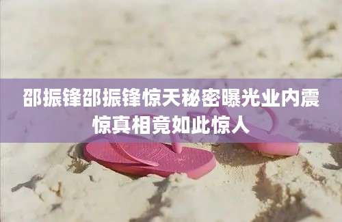 邵振锋邵振锋惊天秘密曝光业内震惊真相竟如此惊人