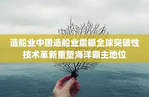 造船业中国造船业震撼全球突破性技术革新重塑海洋霸主地位