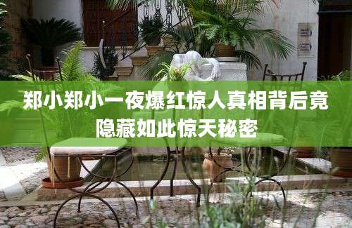 郑小郑小一夜爆红惊人真相背后竟隐藏如此惊天秘密
