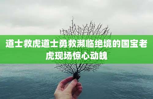 道士救虎道士勇救濒临绝境的国宝老虎现场惊心动魄