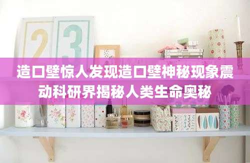 造口壁惊人发现造口壁神秘现象震动科研界揭秘人类生命奥秘