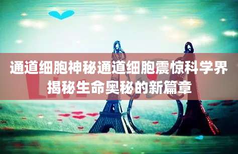通道细胞神秘通道细胞震惊科学界揭秘生命奥秘的新篇章