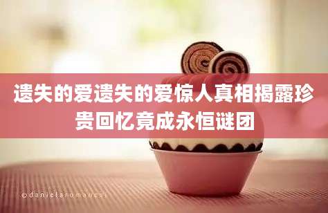 遗失的爱遗失的爱惊人真相揭露珍贵回忆竟成永恒谜团