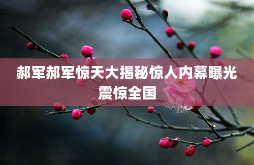 郝军郝军惊天大揭秘惊人内幕曝光震惊全国