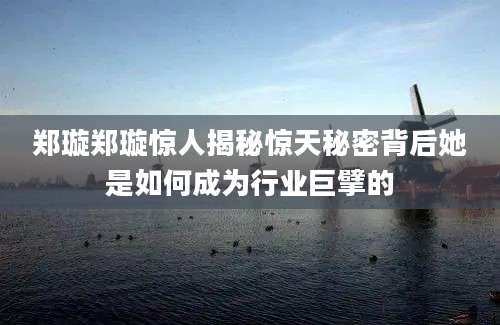 郑璇郑璇惊人揭秘惊天秘密背后她是如何成为行业巨擘的