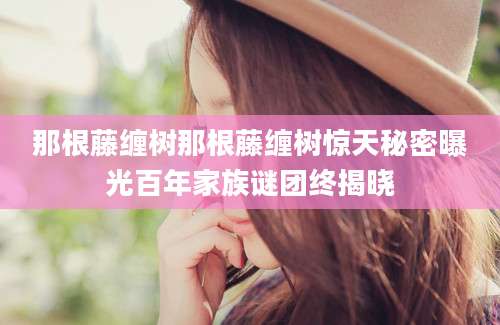那根藤缠树那根藤缠树惊天秘密曝光百年家族谜团终揭晓