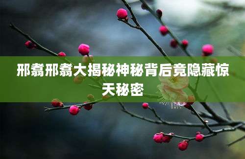 邢翥邢翥大揭秘神秘背后竟隐藏惊天秘密