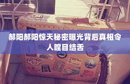 郝阳郝阳惊天秘密曝光背后真相令人瞠目结舌