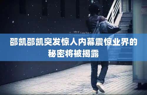 邵凯邵凯突发惊人内幕震惊业界的秘密将被揭露