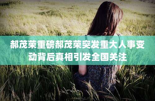 郝茂荣重磅郝茂荣突发重大人事变动背后真相引发全国关注