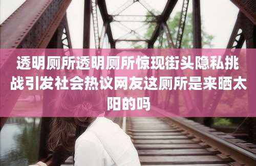 透明厕所透明厕所惊现街头隐私挑战引发社会热议网友这厕所是来晒太阳的吗