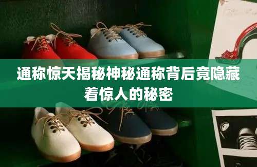 通称惊天揭秘神秘通称背后竟隐藏着惊人的秘密