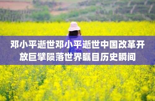 邓小平逝世邓小平逝世中国改革开放巨擘陨落世界瞩目历史瞬间