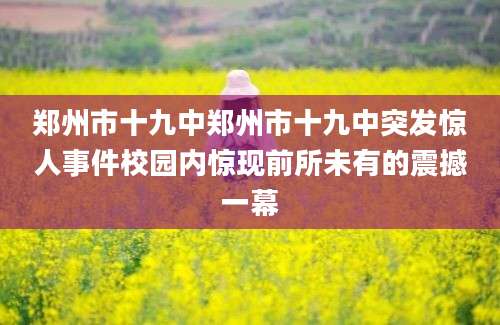 郑州市十九中郑州市十九中突发惊人事件校园内惊现前所未有的震撼一幕