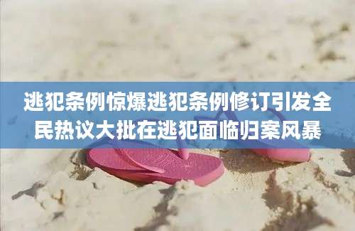 逃犯条例惊爆逃犯条例修订引发全民热议大批在逃犯面临归案风暴