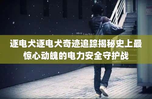 逐电犬逐电犬奇迹追踪揭秘史上最惊心动魄的电力安全守护战