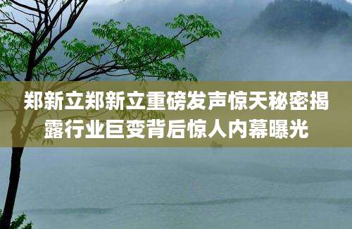 郑新立郑新立重磅发声惊天秘密揭露行业巨变背后惊人内幕曝光