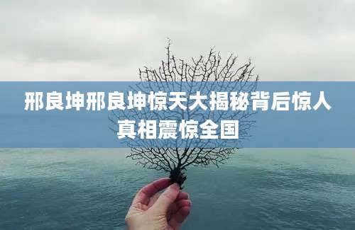 邢良坤邢良坤惊天大揭秘背后惊人真相震惊全国