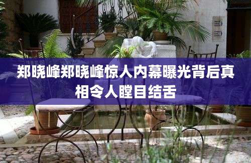 郑晓峰郑晓峰惊人内幕曝光背后真相令人瞠目结舌