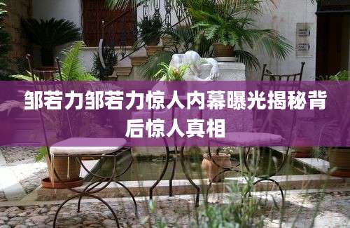 邹若力邹若力惊人内幕曝光揭秘背后惊人真相
