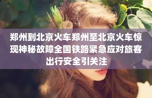 郑州到北京火车郑州至北京火车惊现神秘故障全国铁路紧急应对旅客出行安全引关注